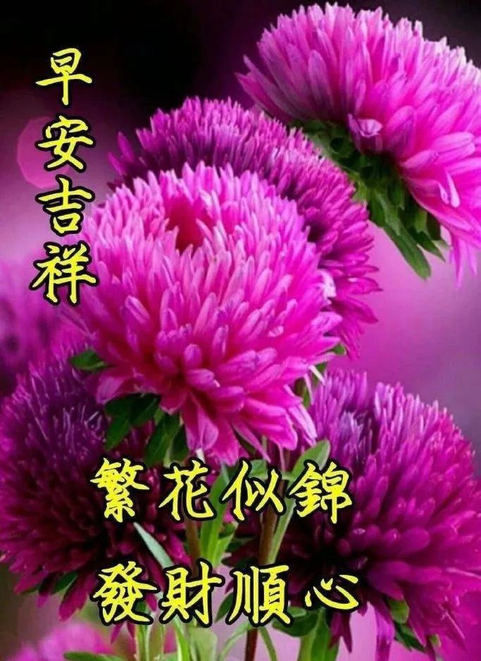 早上好问候动态表情图片 幸福安康，一路精彩，一路芬芳，一生平安图片