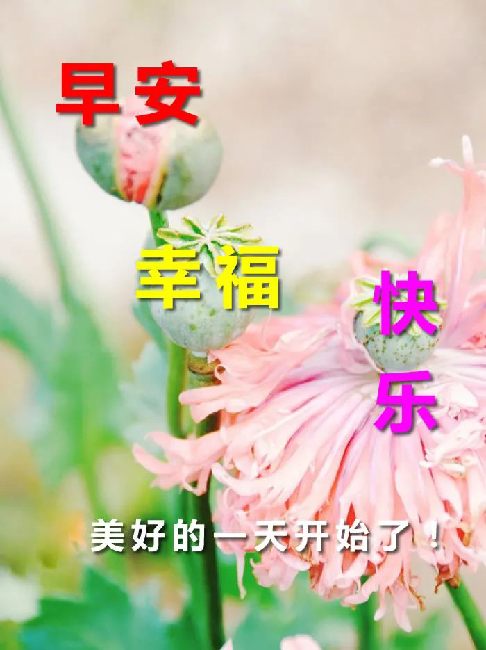 微信周五唯美早晨好动态图片大全，祝福每天都有好心情图片