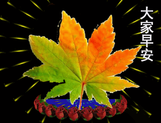周二早上好祝福图片 群发早上好的祝福语句 岁月不重来、珍惜每一天图片