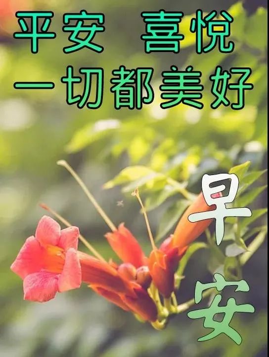 感恩，让心里的阳光，照亮生活中的点点滴滴，早上好