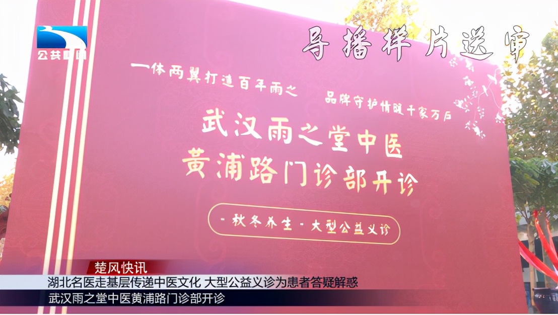 湖北名医走基层传递中医文化 大型公益义诊为患者答疑解惑
