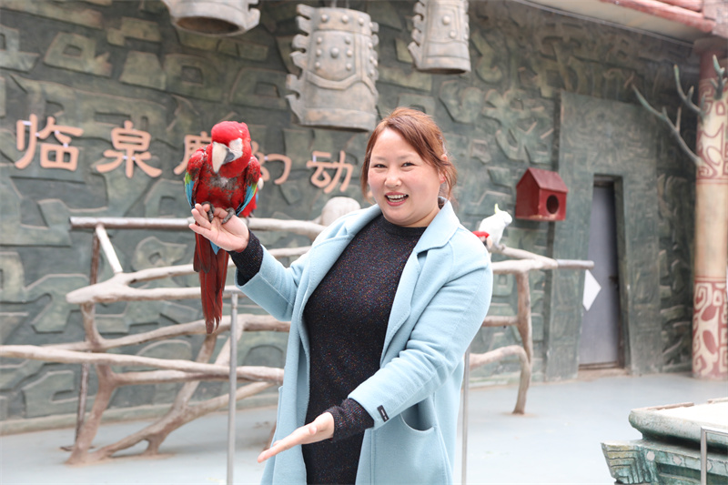 虎福齊臨門，春風(fēng)踏青來(lái) 臨泉魔幻動(dòng)物園4月1號(hào)恢復(fù)開放