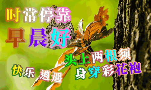 朋友圈唯美早上好微信动态表情图片 早安吉祥、平安顺心图片