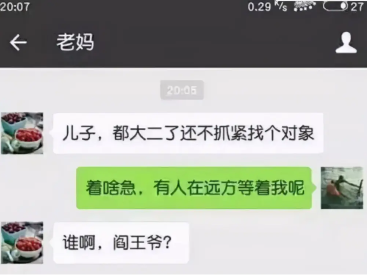 “谁啊，阎王爷？”大学生与父母的聊天记录走红，怼人怼得很应景