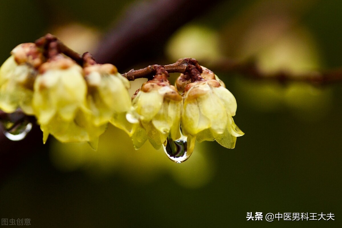 劳累过度造成胃口变差，心脾两虚，肝肾亏虚型ED，中医如何调理？