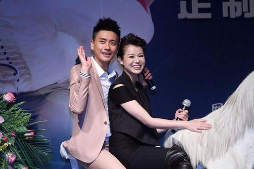 段奕宏的暗恋人尽皆知，黄宗泽的悔过来得太晚，这3对明星太可惜