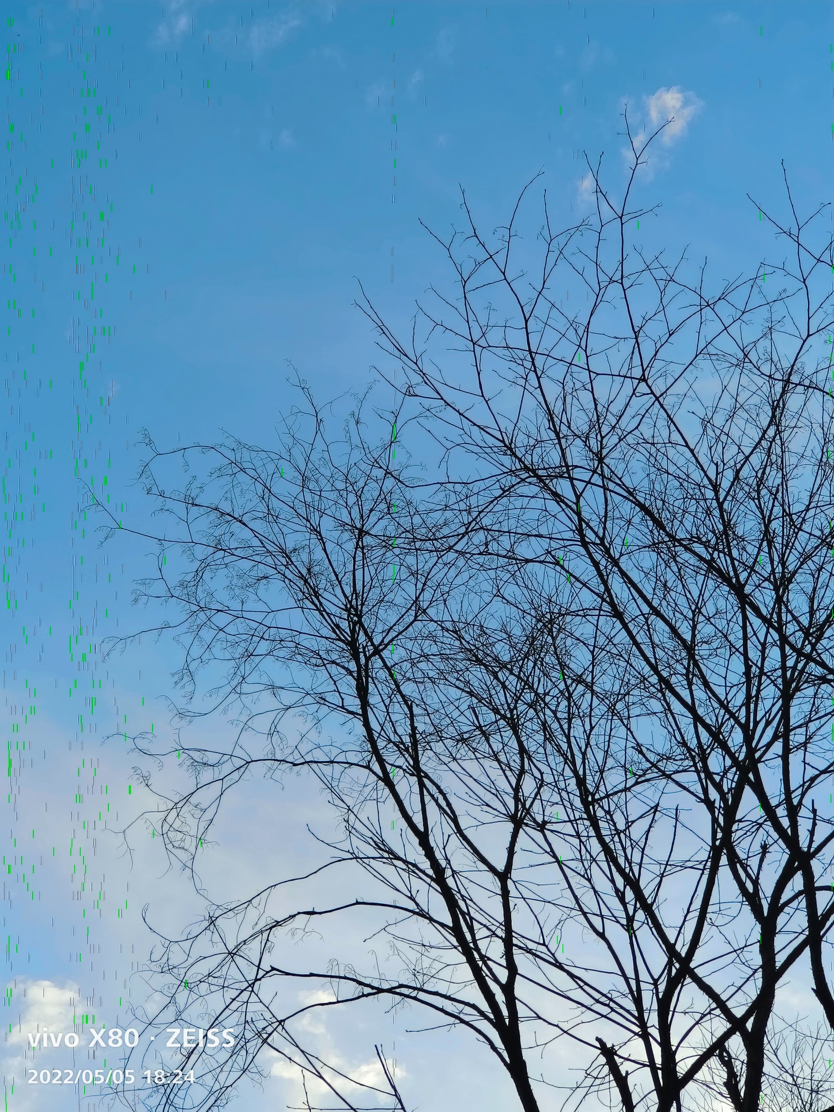 标准版也有Pro实力，天玑9000+蔡司影像加持，vivo X80上手实测