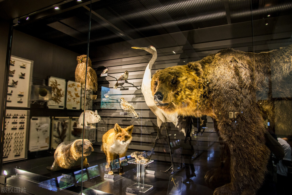 2022QS学科排名出炉，澳洲大学在五大领域均表现出色