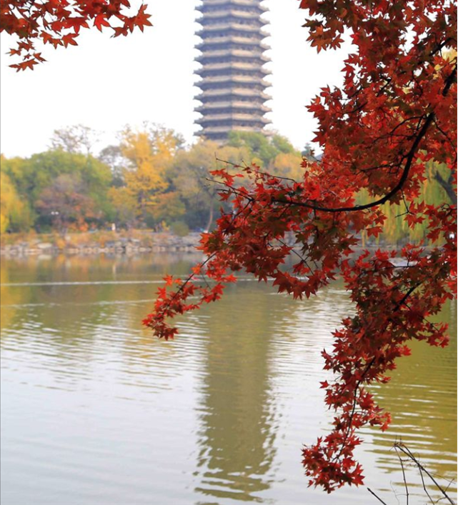 浙江奥数天才叶珈宁：未参加高考高2被保送，北大降200也要录取