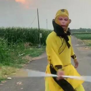 河北小伙王东东，扮美猴王赛六小龄童