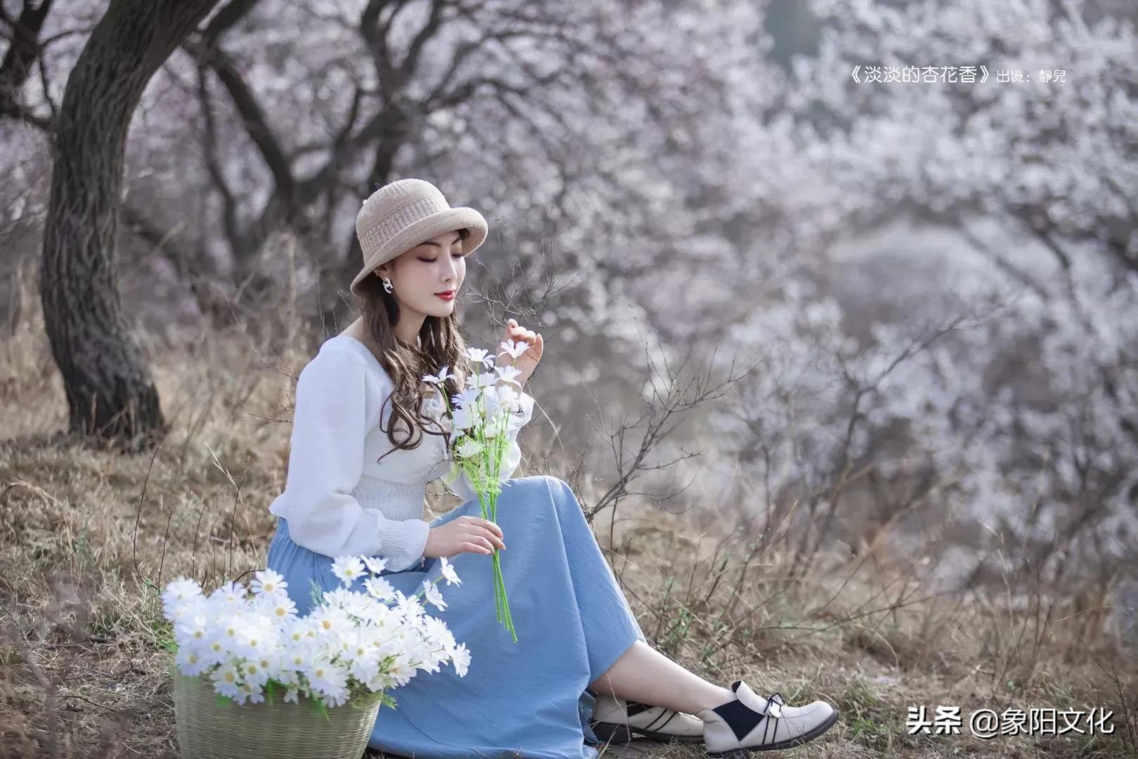 图说故事：《淡淡的杏花香》「149」