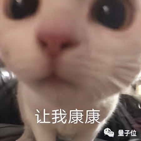 AI學(xué)會(huì)了用“人眼”看世界，甚至連人類(lèi)瞳孔的細(xì)微縮放都能模擬