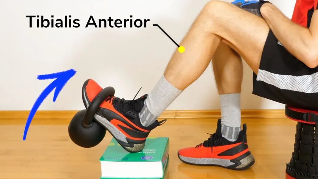为什么踝关节的灵活度这么重要：灵活度测试和4个改善动作