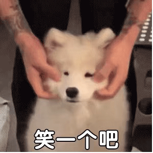 可爱搞笑的表情包：欺负我幼儿园文凭