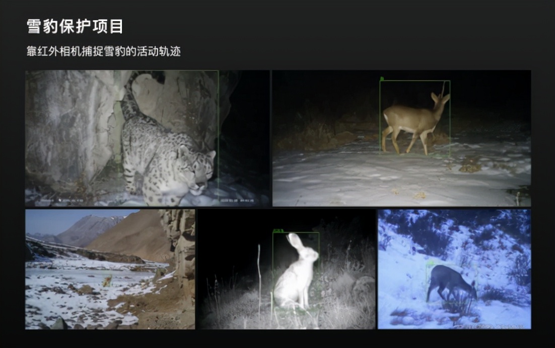 腾讯技术公益亮相 GeekPark IF 2022,探讨技术公益新的未来