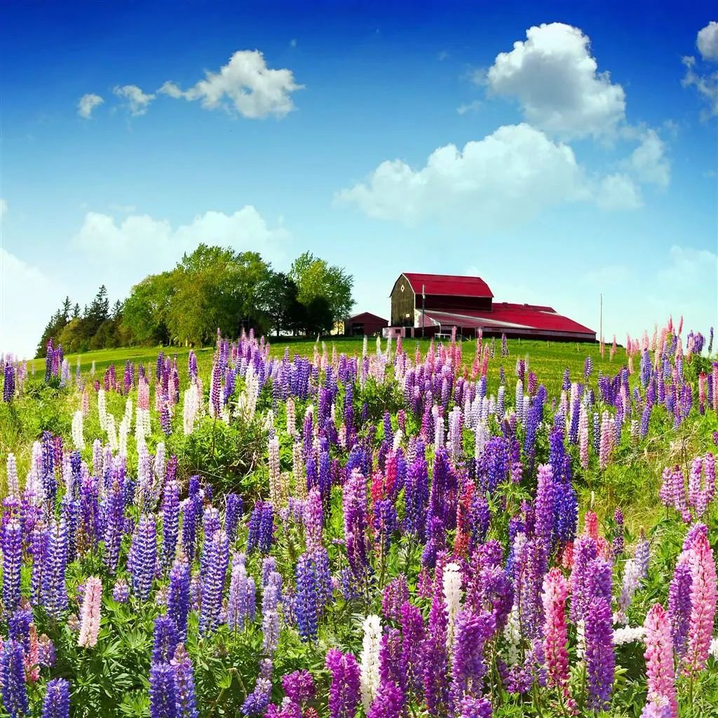 「2022.05.08」早安心语，母亲节正能量语录句子 祝福海报图片带字