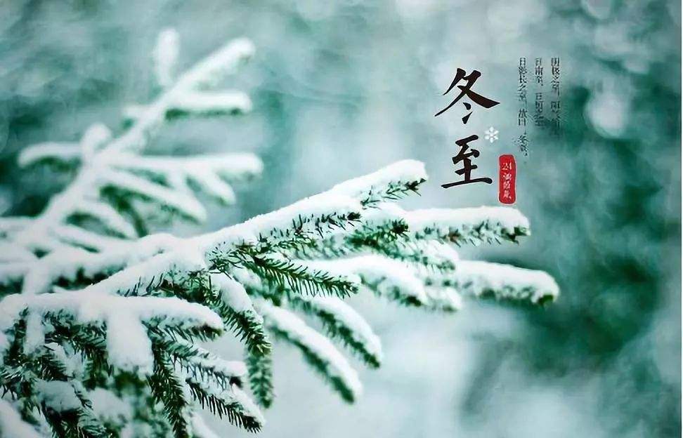 冬至暖意浓，饺香传情谊：今日温馨祝福，愿你幸福安康！