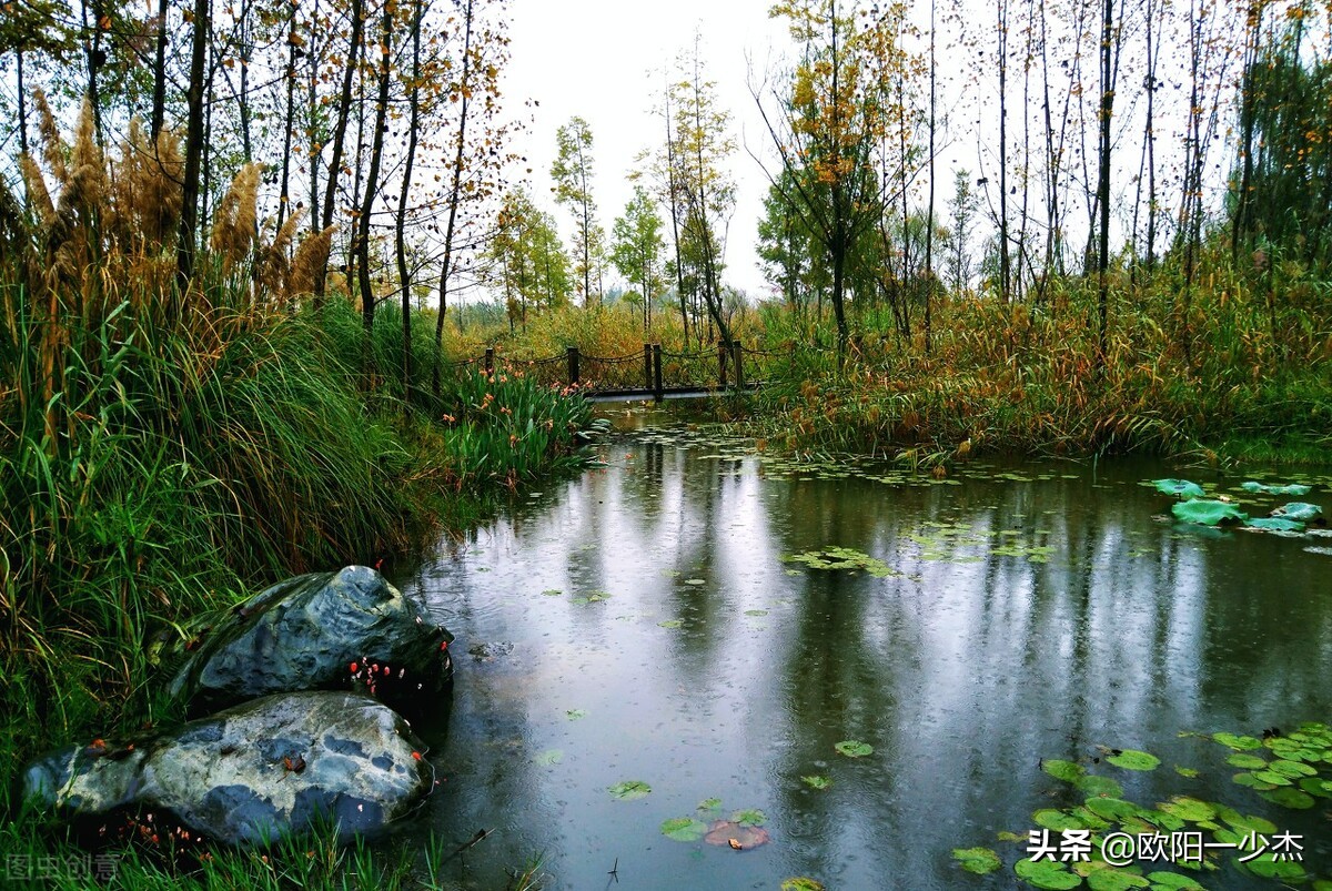 最撩人心弦，描述秋风秋雨的句子