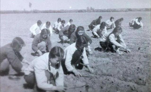 2018年，老太太化身少女与丈夫网恋骗200万，男子：报警，离婚