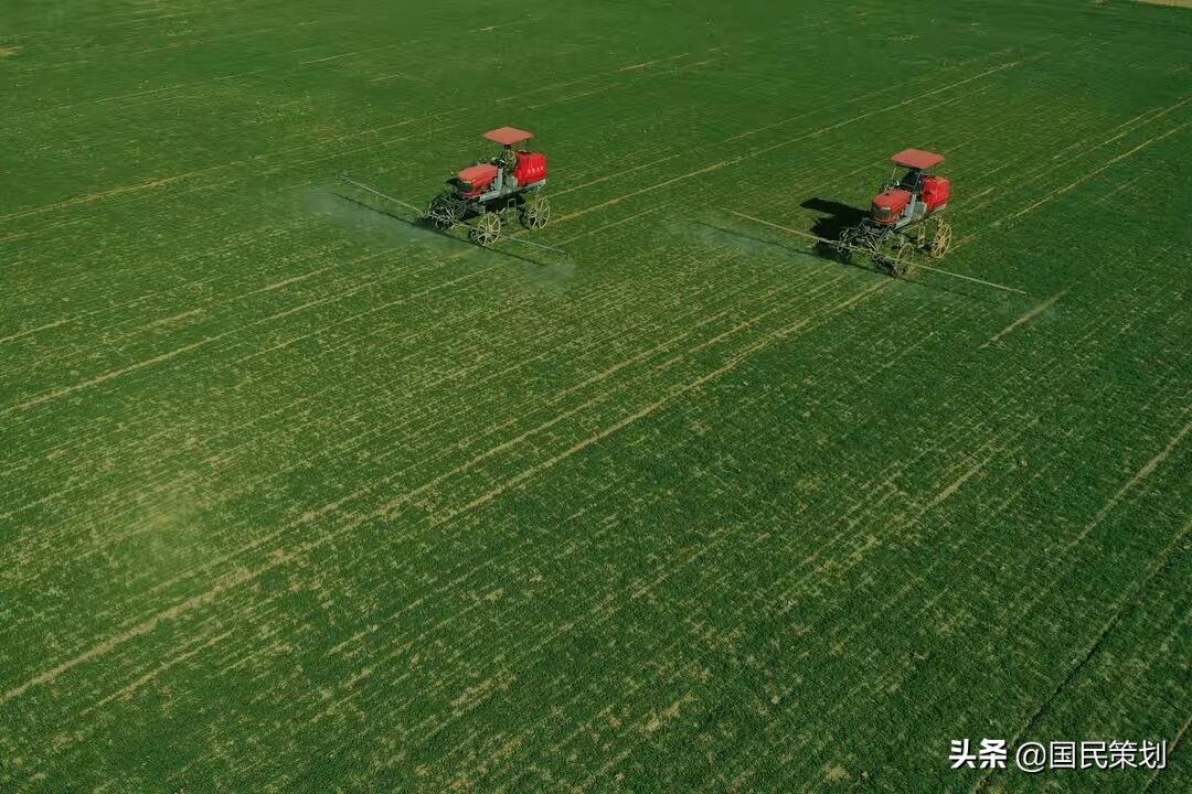 专家：农民不种地农业才能现代化？如此谬论，不接地气，不合时宜