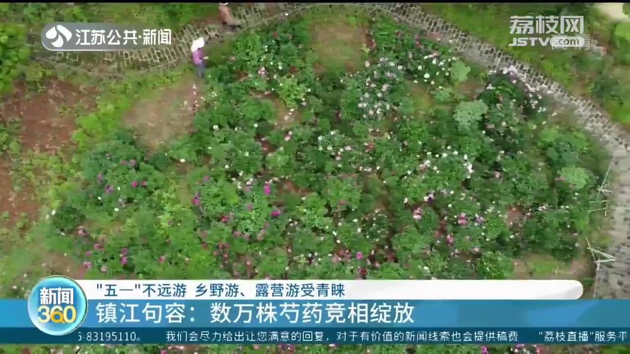 “五一”不远游 乡野游、露营游受青睐
