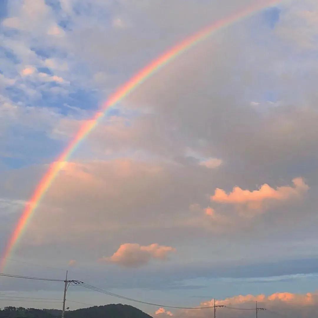 属兔的永久幸运颜色运势运程(3月31日-4月15日，贵气十足，霉运全消财运爆发的4大生肖)