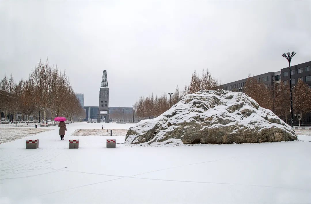 开年瑞雪，师大校园寂静如诗