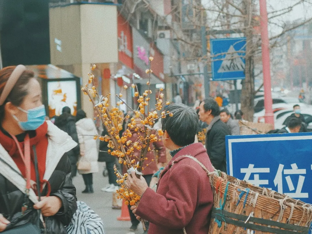 最近超火的盐帮菜之乡让我大开眼界，奇怪的知识又增加了