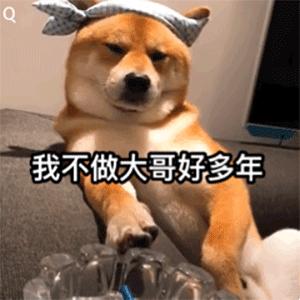 沙雕表情包搞笑gif