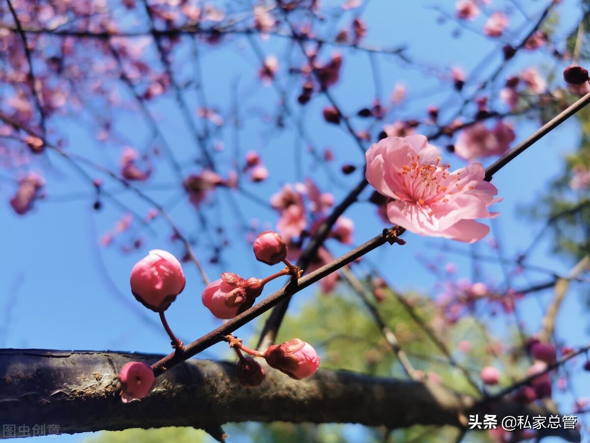 很多父母对自己子女说：你毕业了就回老家