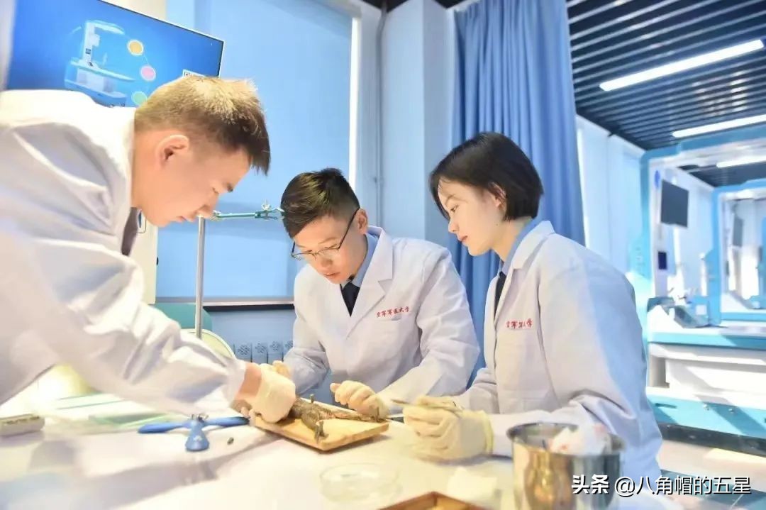 高考报考军校——空军军医大学