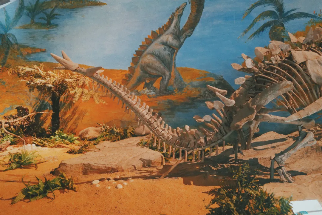 最近超火的盐帮菜之乡让我大开眼界，奇怪的知识又增加了