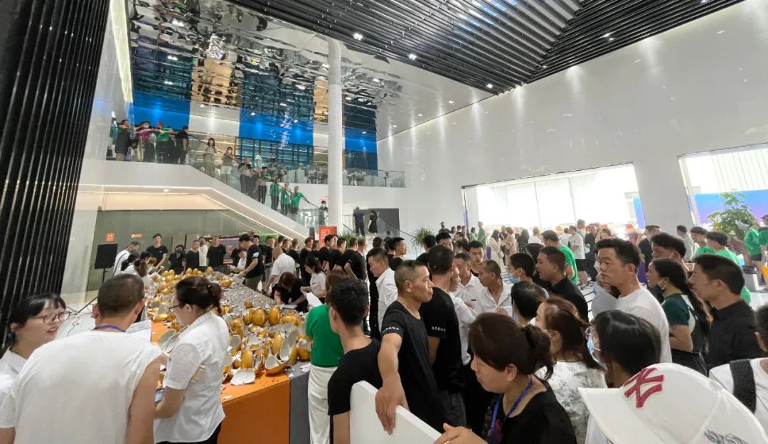 创新前行领跑未来，伊菲格家居2022招商峰会成功举行