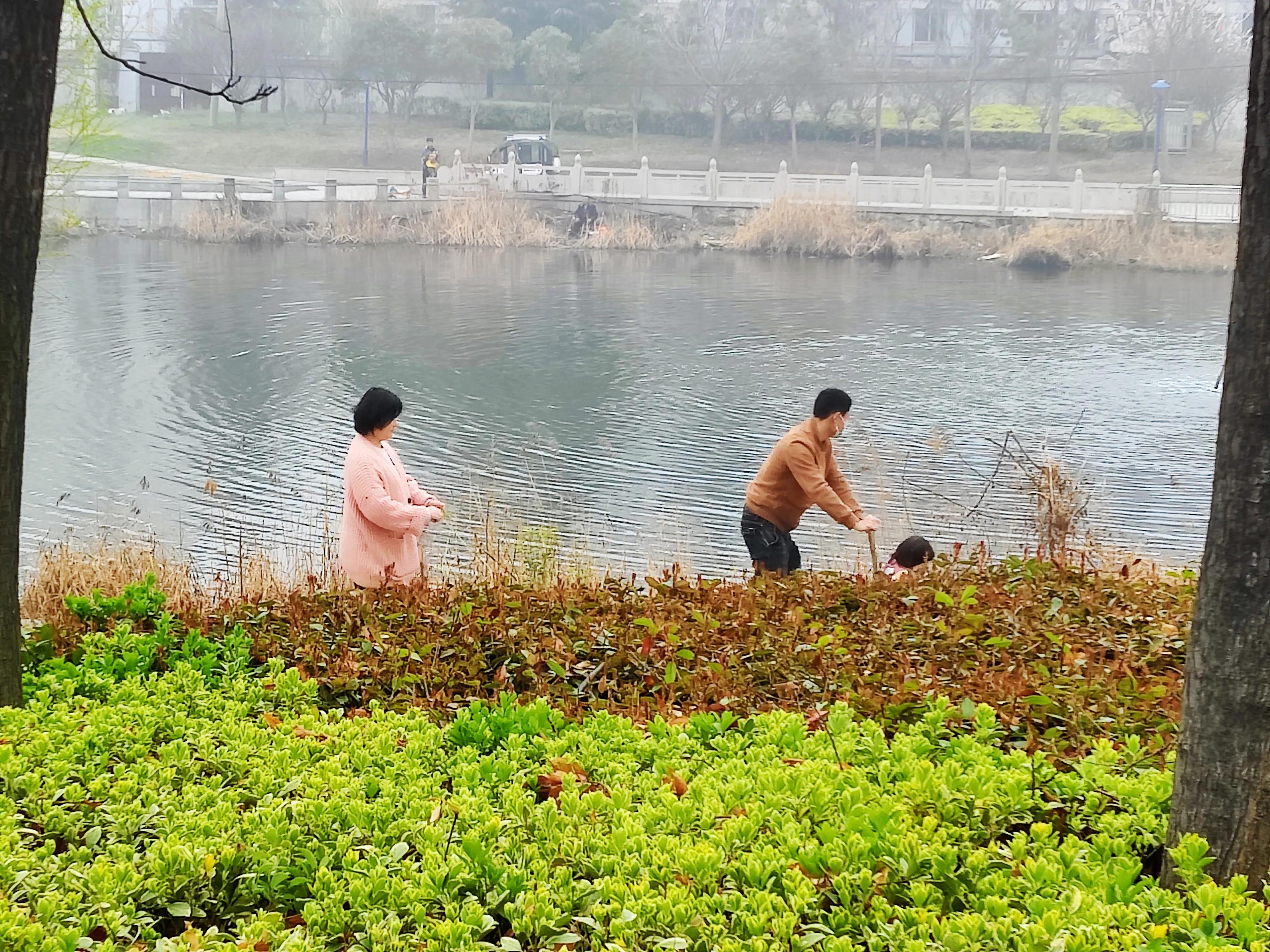 最是人间烟柳色，品花赏春正当时