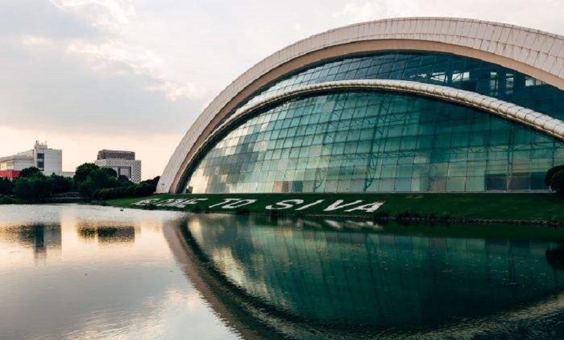 复旦高材生卧床啃老3年，对母亲拳打脚踢：我现在这样都是你害的