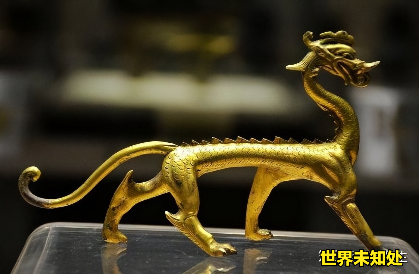 上面两张图都是夏商周时期的"龙",和现如今的龙造型上有多大关系?