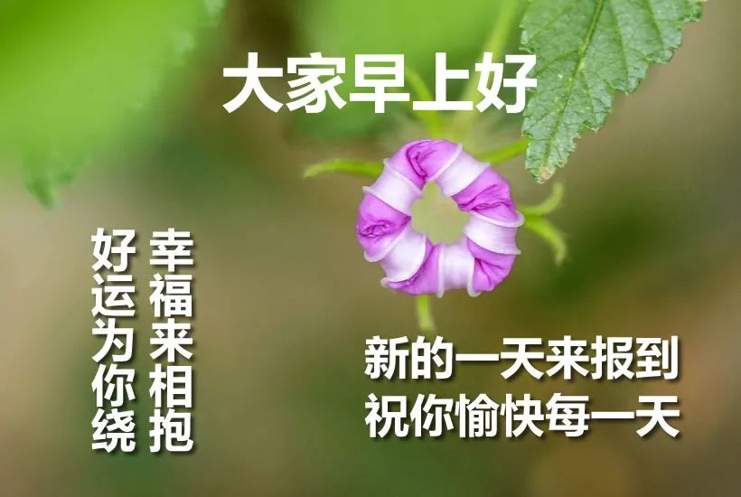 微信早上好祝福图片，早上好祝福语句，清晨一声早，心情无比好图片