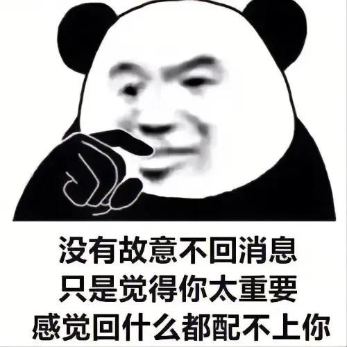 表情包过年好