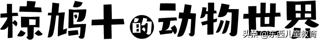 圣诞节没有惊喜（圣诞节给什么惊喜给她）