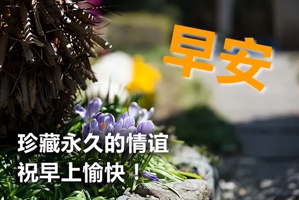 微信星期四早上好问候语及关心话 祝早上愉快 珍藏永久的友谊图片