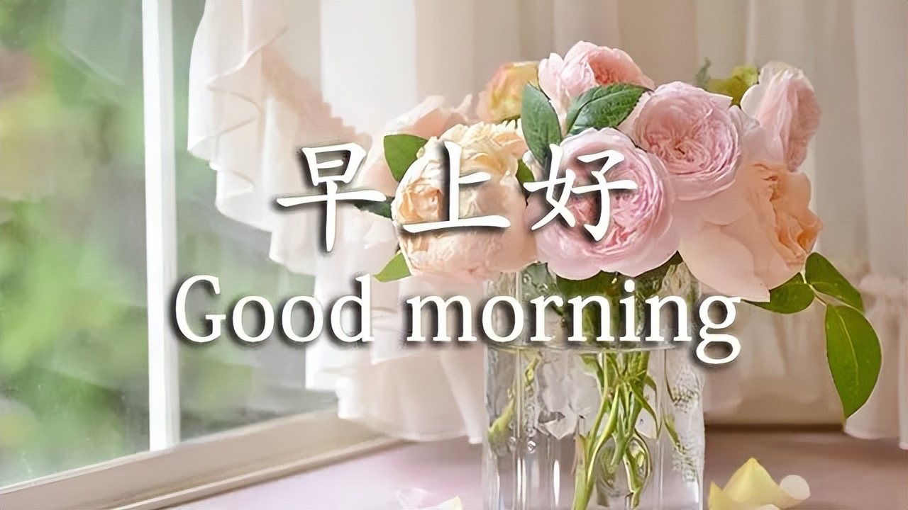 朋友圈早安励志文案，舍才是得最大的机会图片