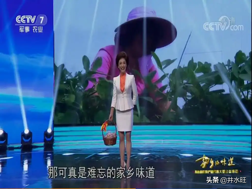 一身白衣的央视女主持，优雅显气质，别具高级感