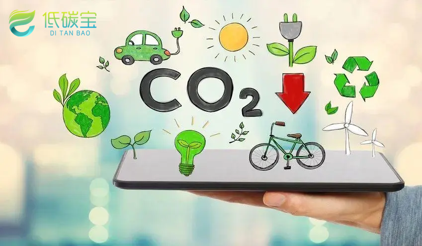 低碳宝碳中和项目助力绿色发展