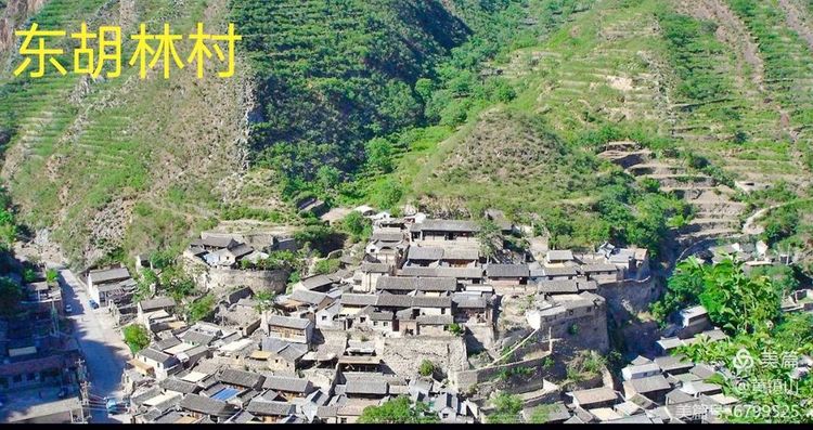 黄镇山：世界陶稻黍文明起源中国万年前