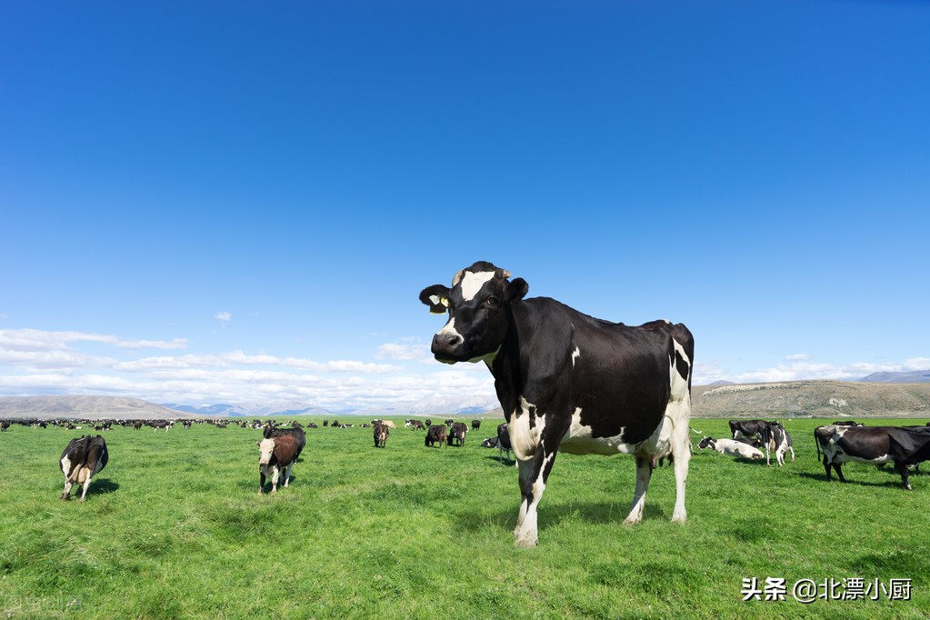 买牛奶奶粉，不是越贵越好，奶粉袋上有这“3行字”，搞懂不吃亏