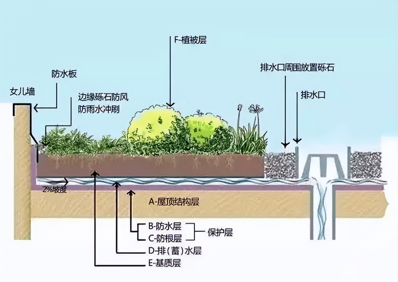 株洲第4代住宅绿化超过100%，50平米空中养花种菜，有啥独特之处