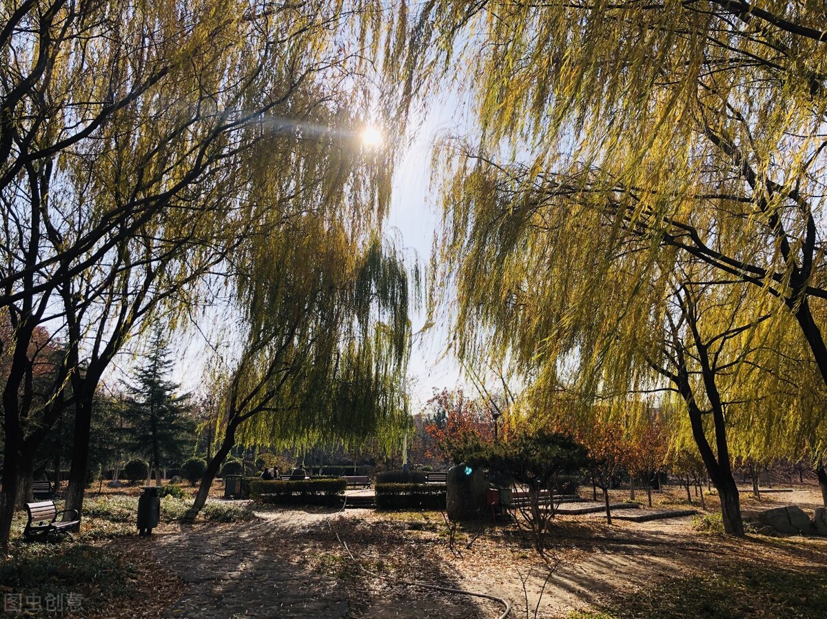 学生专升本的成绩不高，报考这5所民办本科高校，上岸率较高