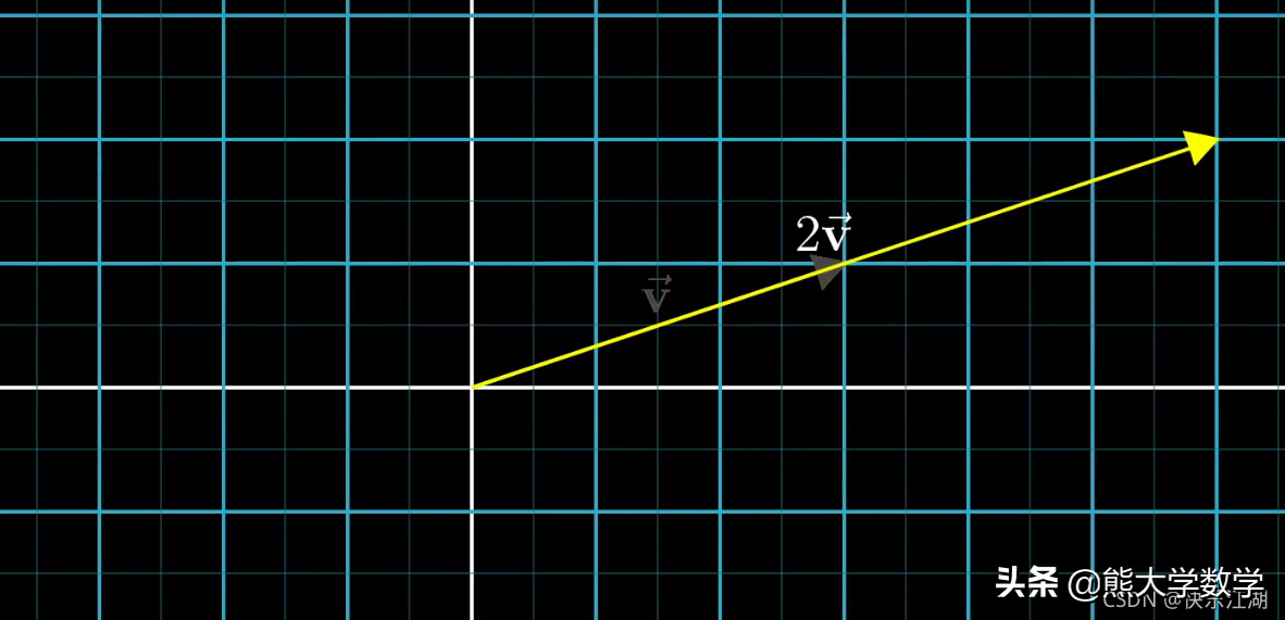 「线性代数」向量究竟是什么