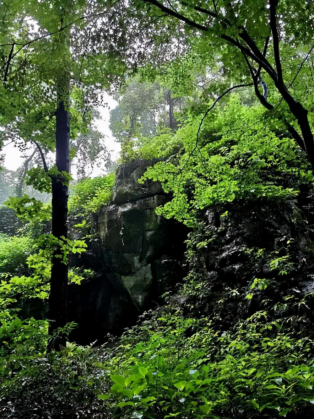跟着名家学写景，篇篇是范文