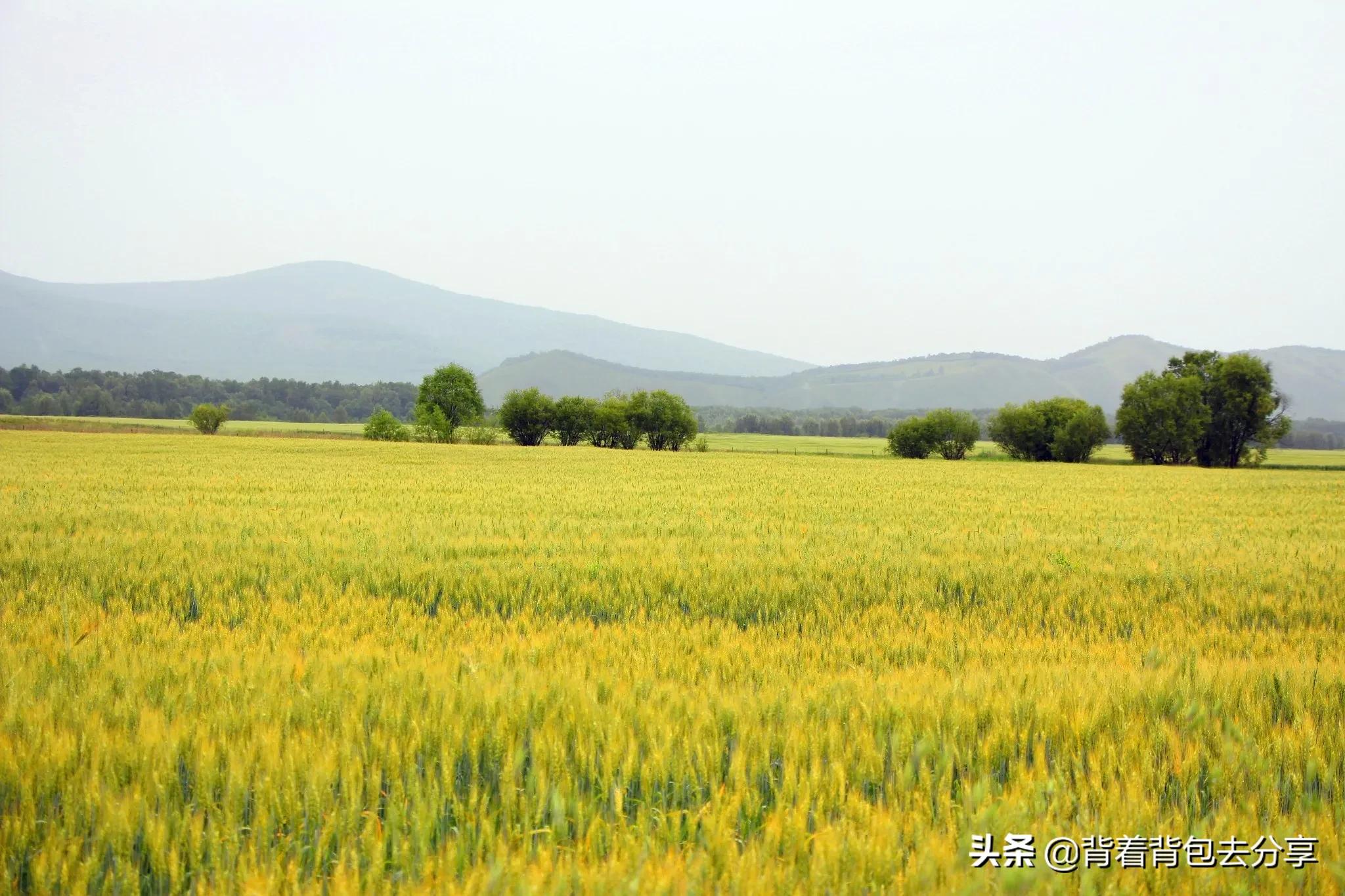 內蒙古必游的十大景點，去過9處，才算真正的玩轉內蒙古